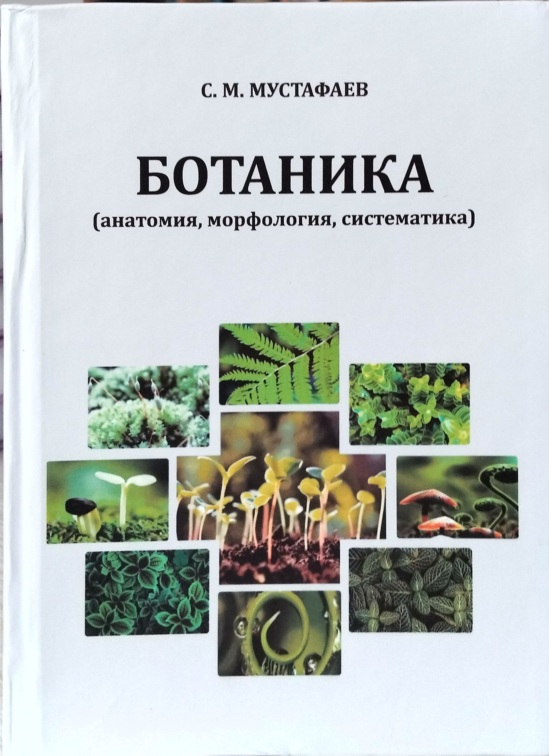 Ботаника