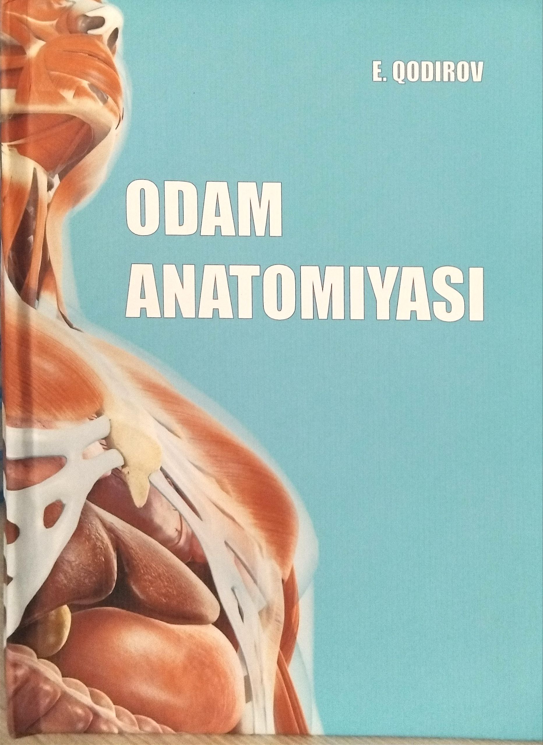 odam anatomiyasi