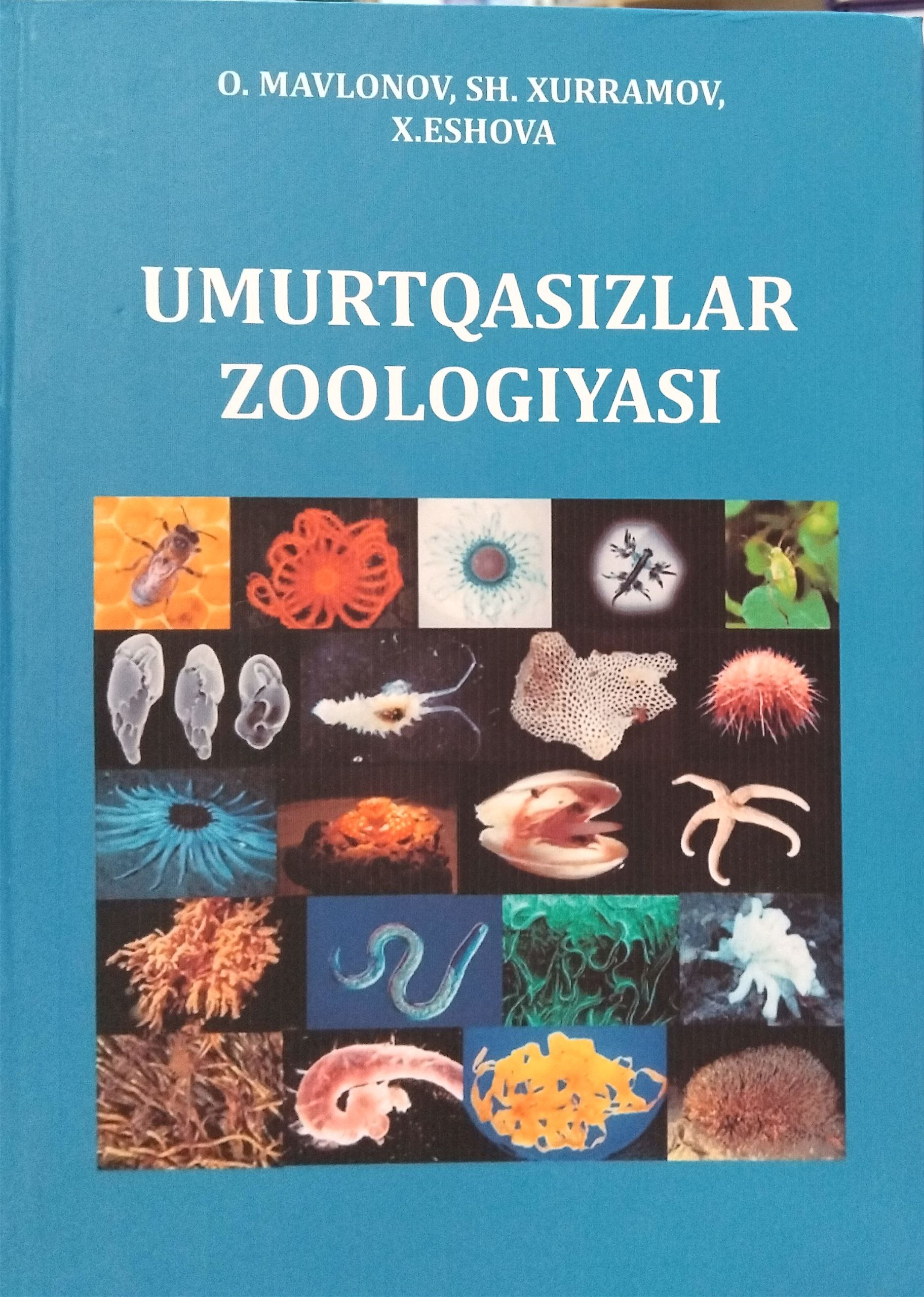 UMURTQASIZLAR ZOOLOGIYASI