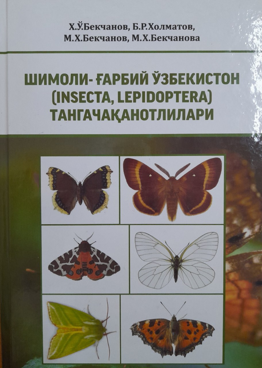 Шимоли-ғарбий Ўзбекистон (insecta, lepidoptera) тангачақанотлилари