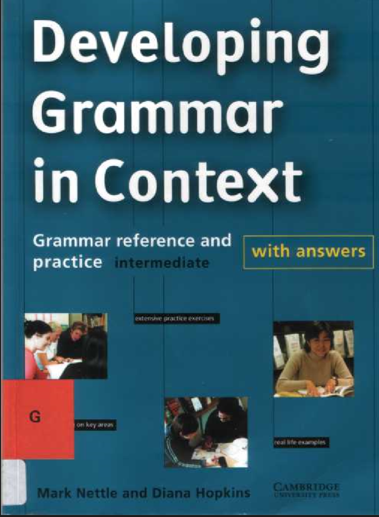 Developing Grammar in Context