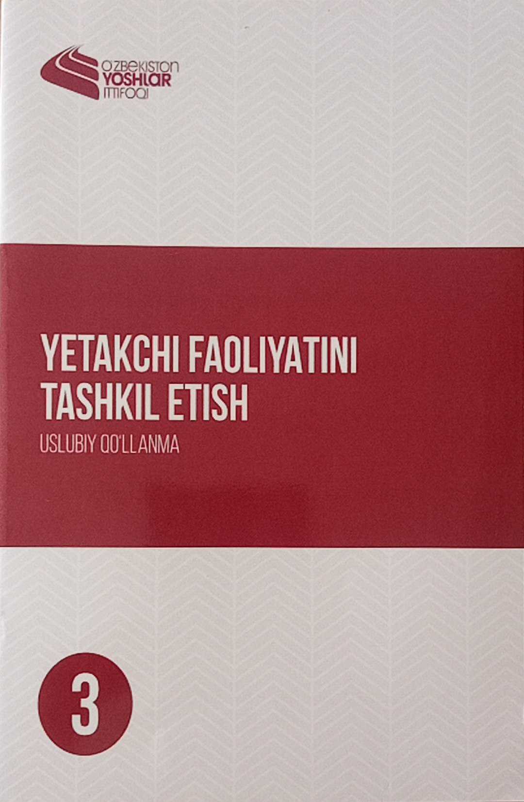 Yetakchi faoliyatini tashkil etish
