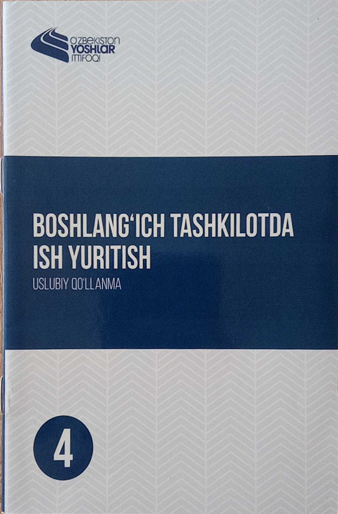 Boshlang'ich tashkilotda ish yuritish