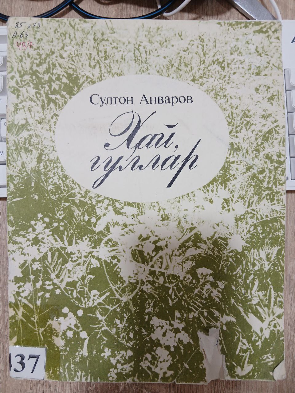 Хай   Гуллар