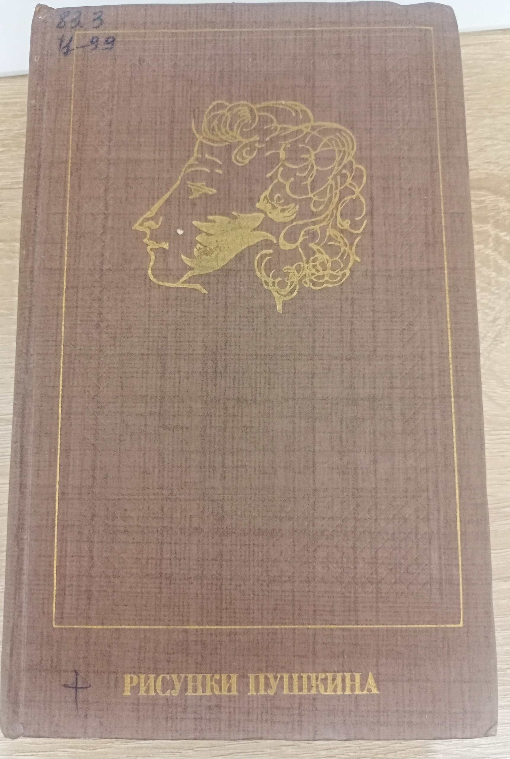 РИСУНКИ ПУШКИНА