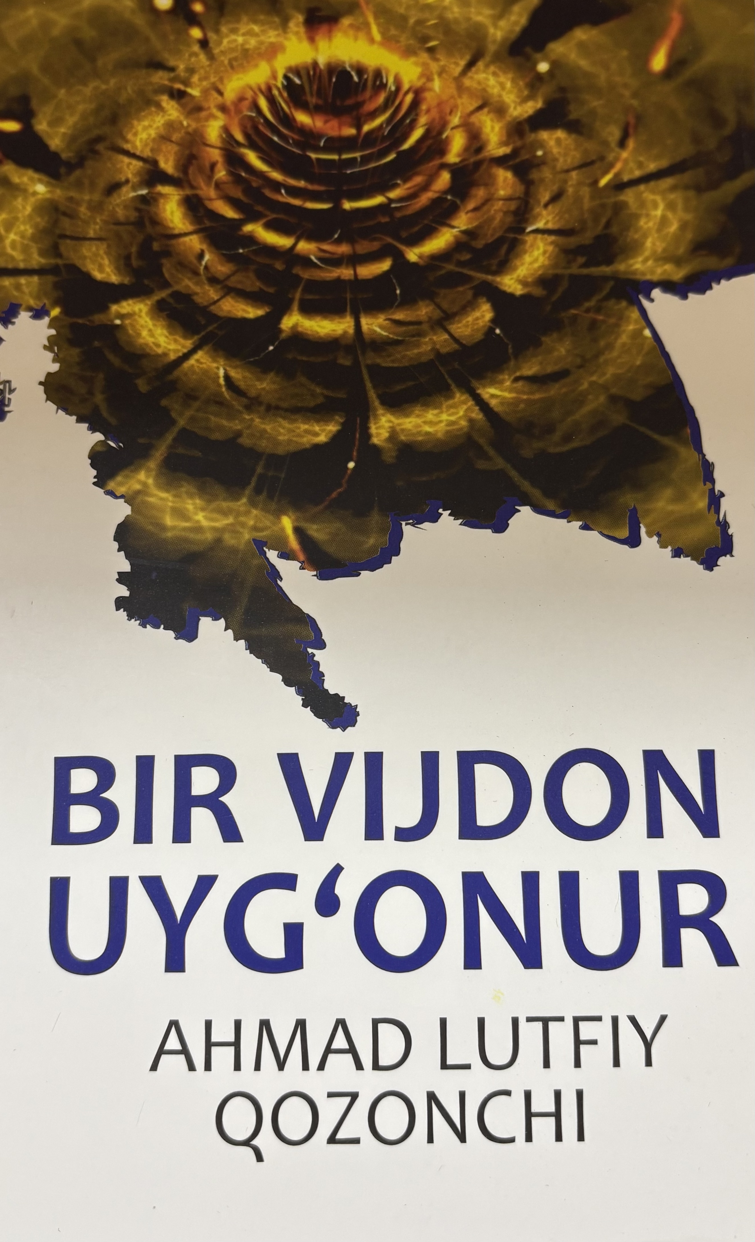 Bir vijdon uyg`onur